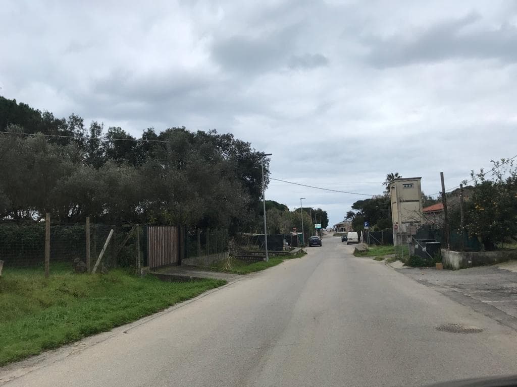 FONDI - DOMENICA 21 FEBBRAIO GIORNATA ECOLOGICA A SELVA VETERE