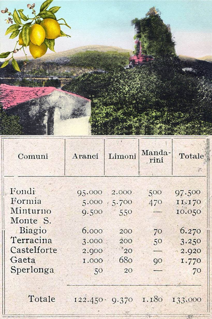 FORMIA CITTA' DEI LIMONI