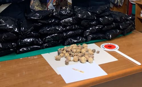 FONDI: UN AGRICOLTORE DETENEVA IN CASA BULBI DI PAPAVERO DA OPPIO. ARRESTATO.