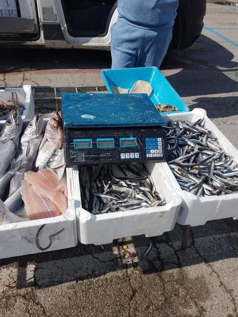 Scauri: Guardia Costiera sequestra 23 kg di prodotti ittici