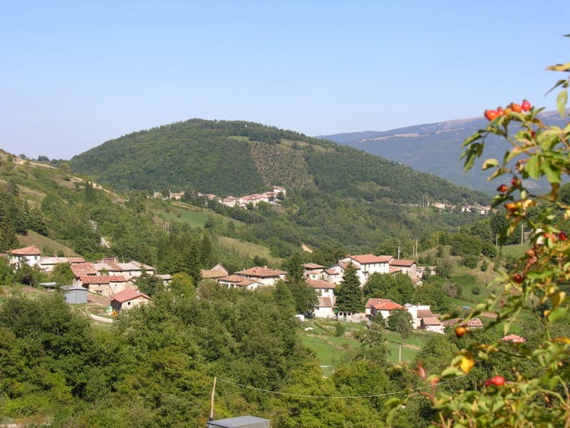 Italia Nostra, WWF, LIPU, Salviamo l'Orso, CAI e Mountain Wilderness insieme per Accumoli