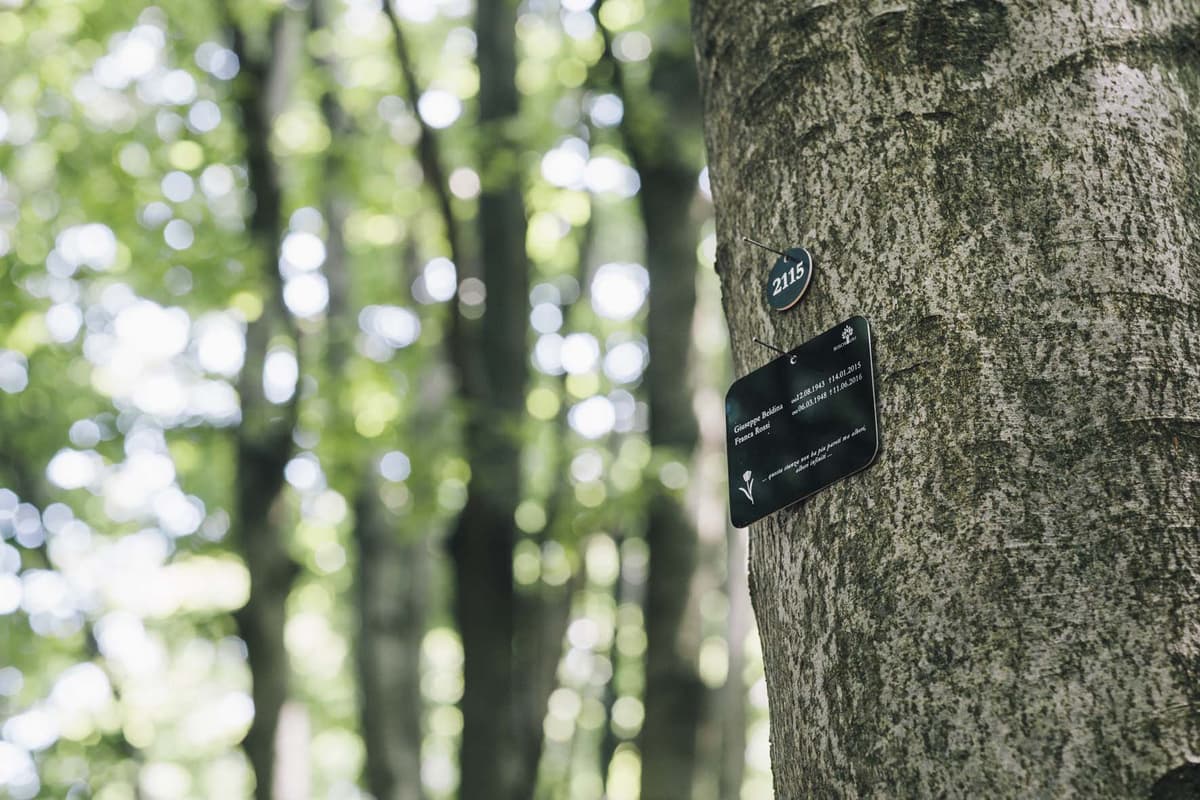 Il futuro della sepoltura: il Bosco Sacro