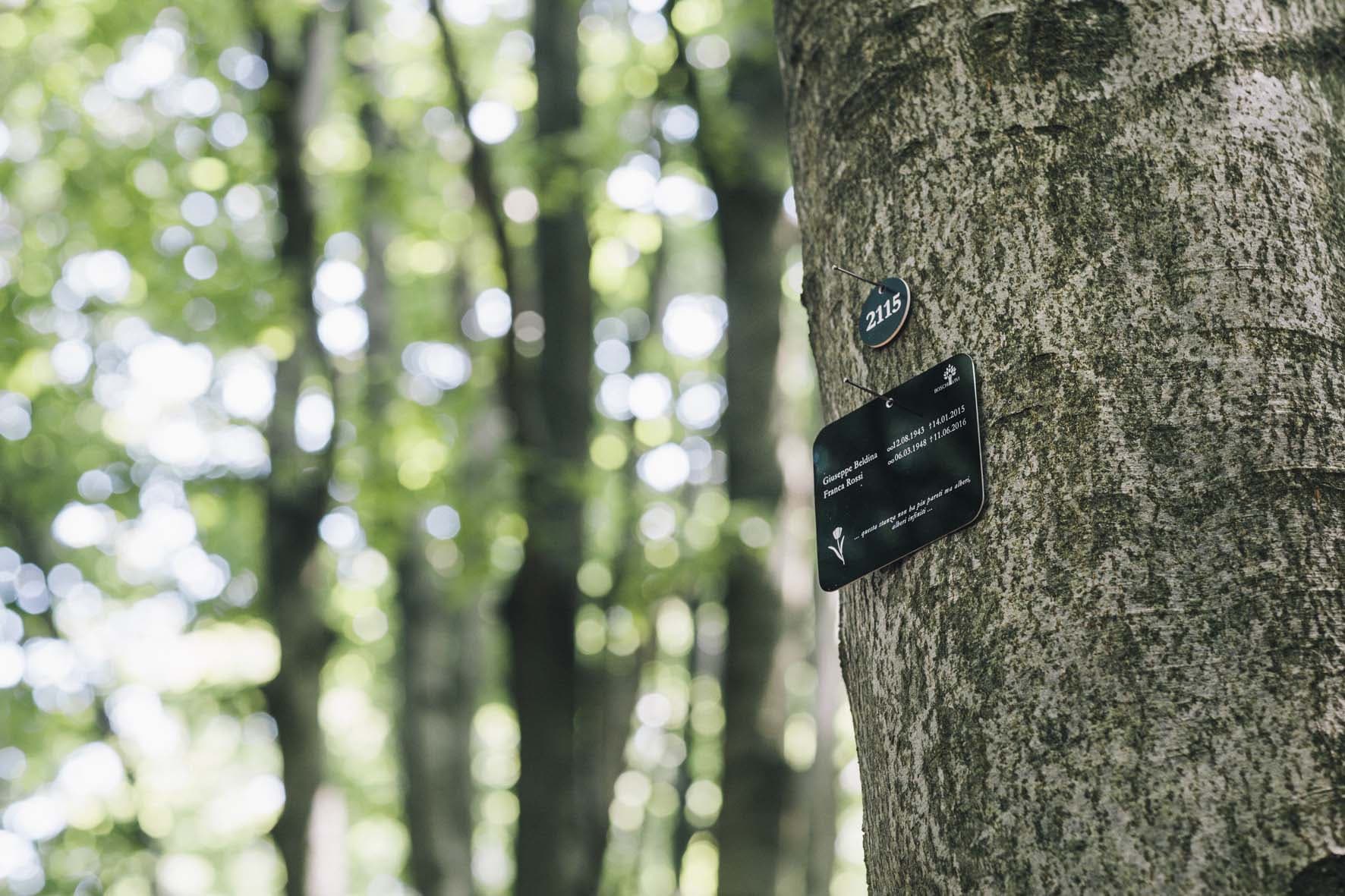 Il futuro della sepoltura: il Bosco Sacro