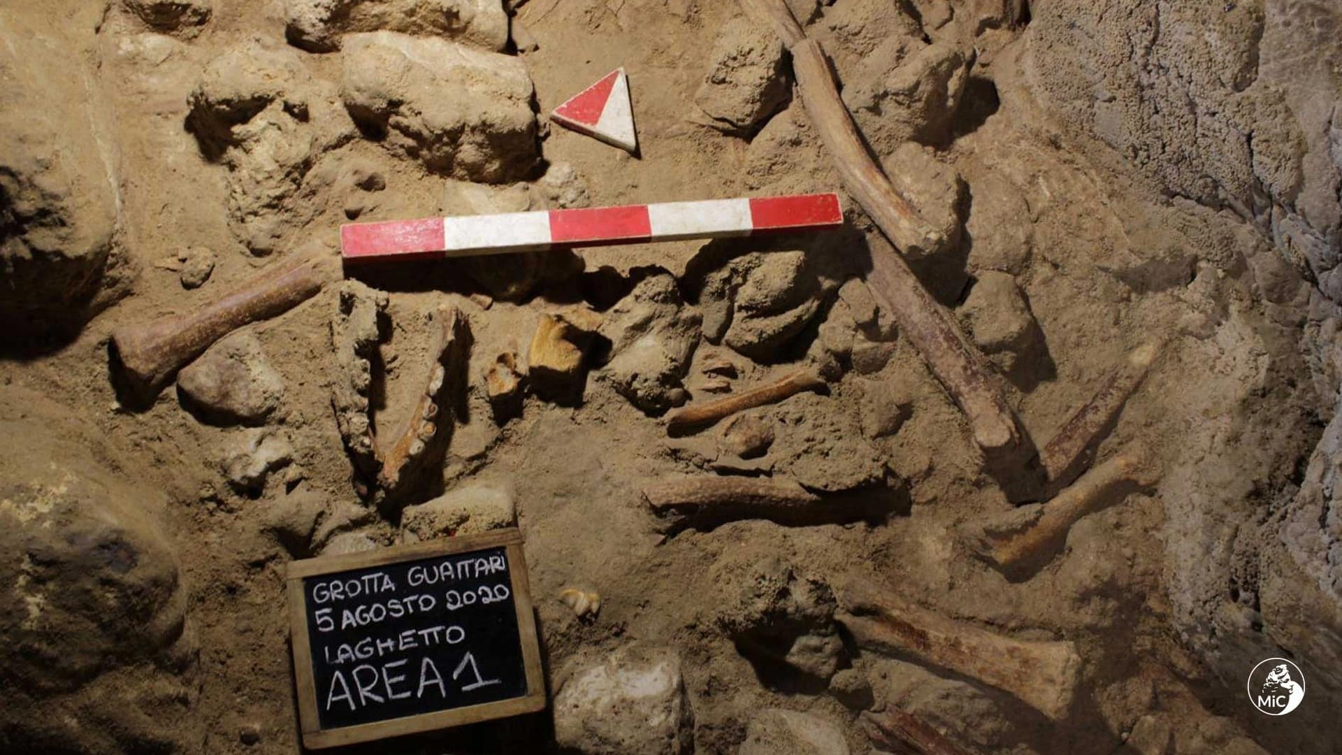 Reperti di Neanderthal: Un motivo in più per visitare il territorio pontino