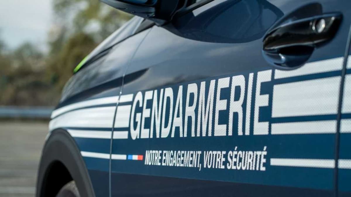 Polizia individua ventunenne latitante d'intesa con Gendarmeria Francese e Polizia Rumena