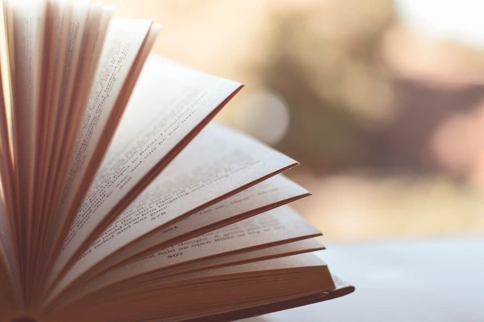 Letteratura: 3 curiosità su scrittori e romanzi dedicati al mondo della scommessa sportiva