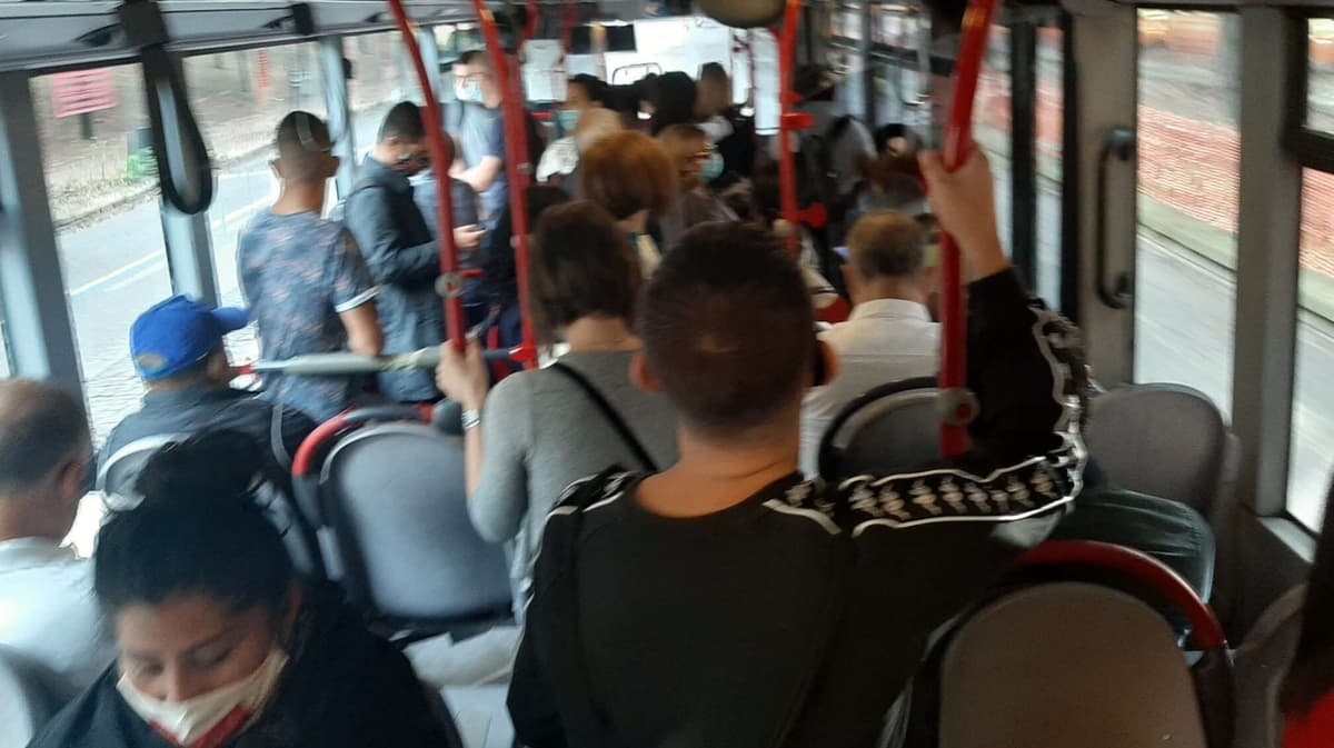 Da Minturno-Scauri a Formia-Gaeta: Trenitalia offre ai viaggiatori domenica bestiale e surreale