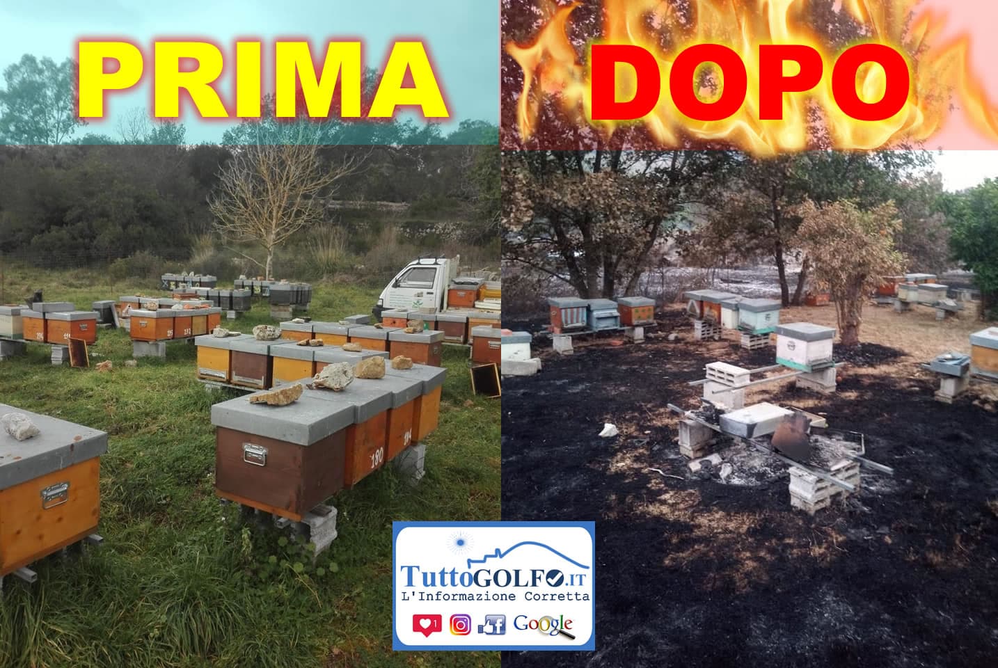Redentore devastato dalle fiamme. Numerosi alveari distrutti