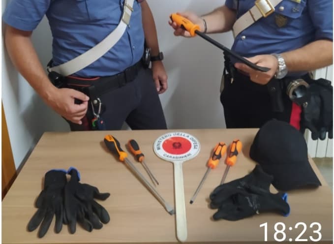 Ladri in azione - Quattro topi d'appartamento in trappola