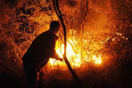 Individuato piromane in Provincia di Latina. Responsabile di due incendi che hanno interessato 8.000 mq