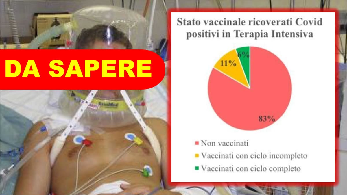 Identikit dei pazienti in terapia intensiva