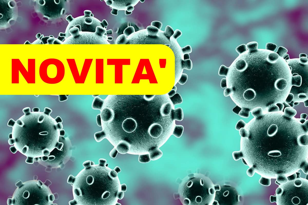 La verità su covid 19 e fungo nero