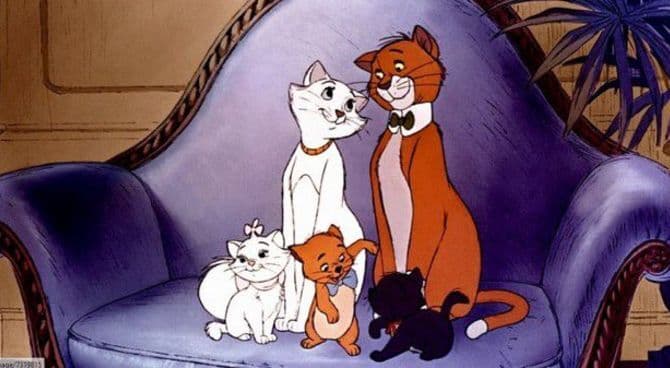 I Gatti 600 milioni nel mondo, in Italia 7.600.000, convivono con l'uomo da 5.300 anni fa