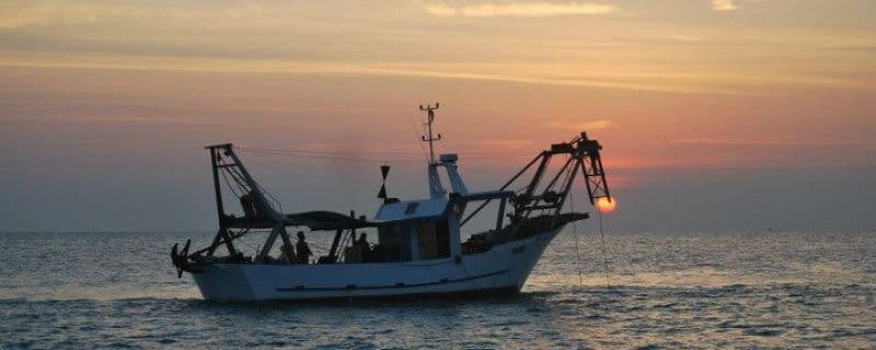 Pesca: gli stati generali si aprono il 13 dicembre, Italia Nostra e l'interesse degli ambientalisti