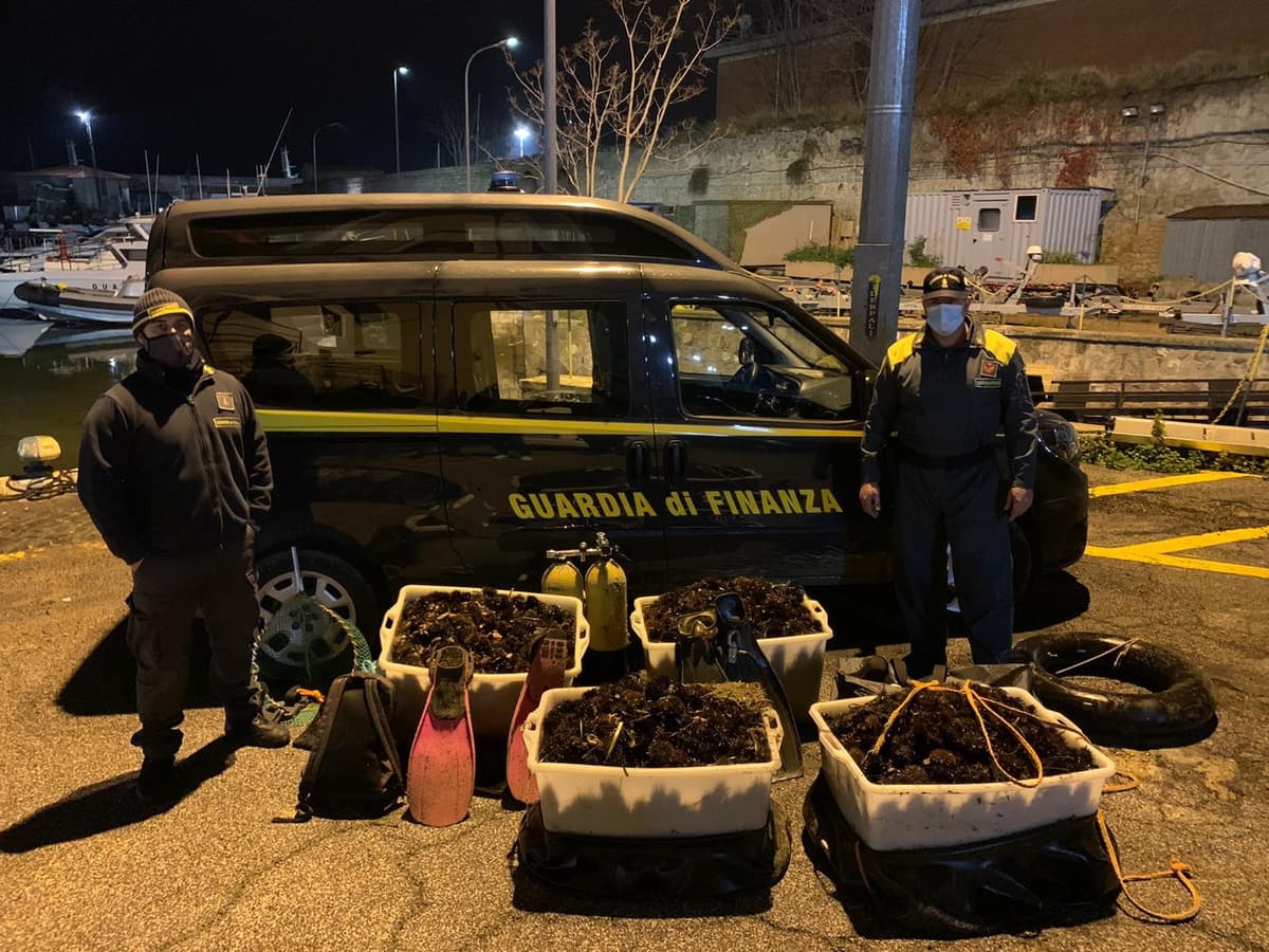 Pescavano ricci di mare da vendere per il "Cenone di Capodanno"