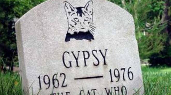 Cimitero per animali - le spoglie degli animali meritano una degna sepoltura
