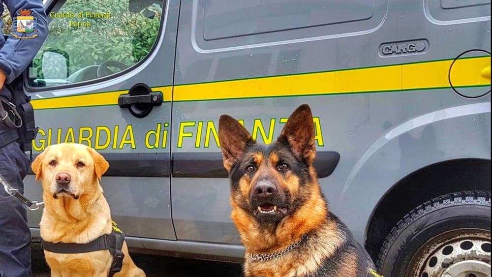 Formia: 14 arresti di cui 10 formiani per spaccio anche dinanzi a istituti scolastici e durante la movida