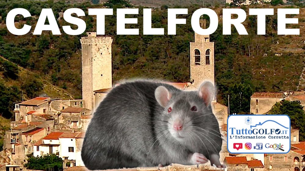 Castelforte, opposizione: topi in pieno centro
