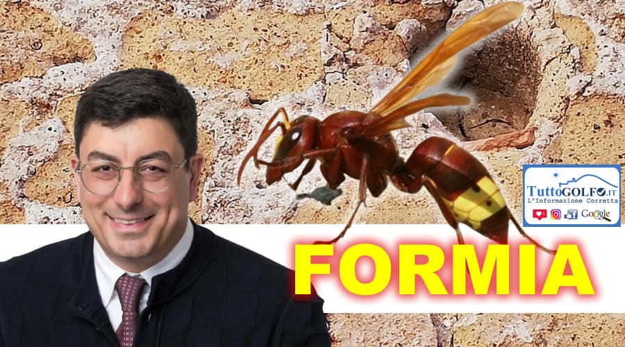 Formia, Vespa Orientalis: attivati i primi interventi per contrastare il fenomeno