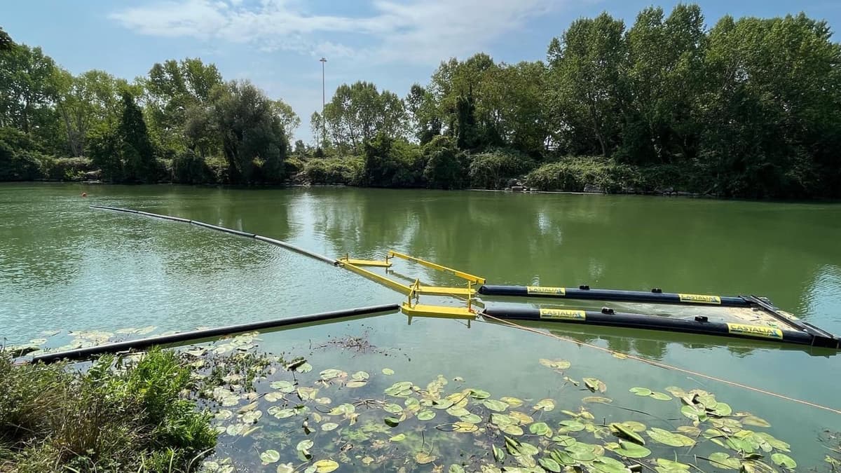 Barriere acchiapparifiuti. A cosa servono e quanto sono efficaci