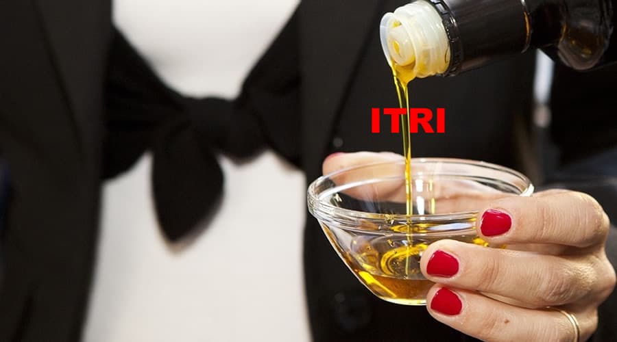 Il costo di un litro d'olio d'oliva 2024 -2025. Frantoio Genesio Mancini: "Produzione al 60%"