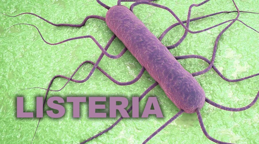 Listeria: morto un uomo dopo aver mangiato un wurstel crudo