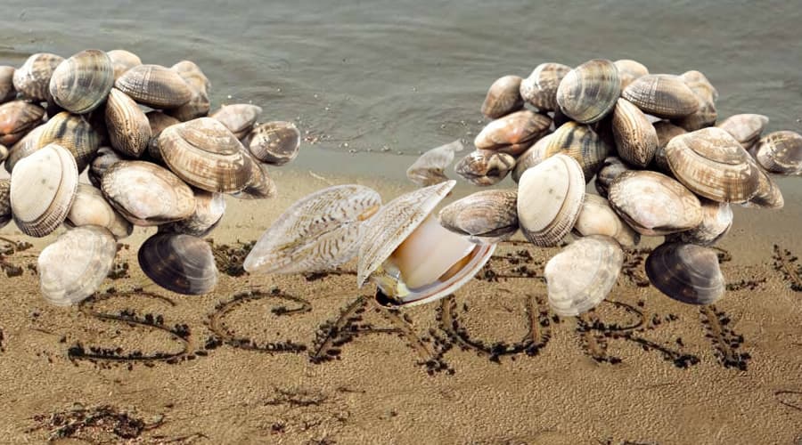 Scauri: lupini e vongole, la spiaggia dona una giornata autunnale eccezionale