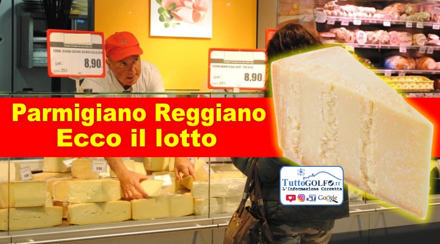 Parmigiano Reggiano DOP 24 mesi. Richiamo alimentare per rischio presenza di allergeni