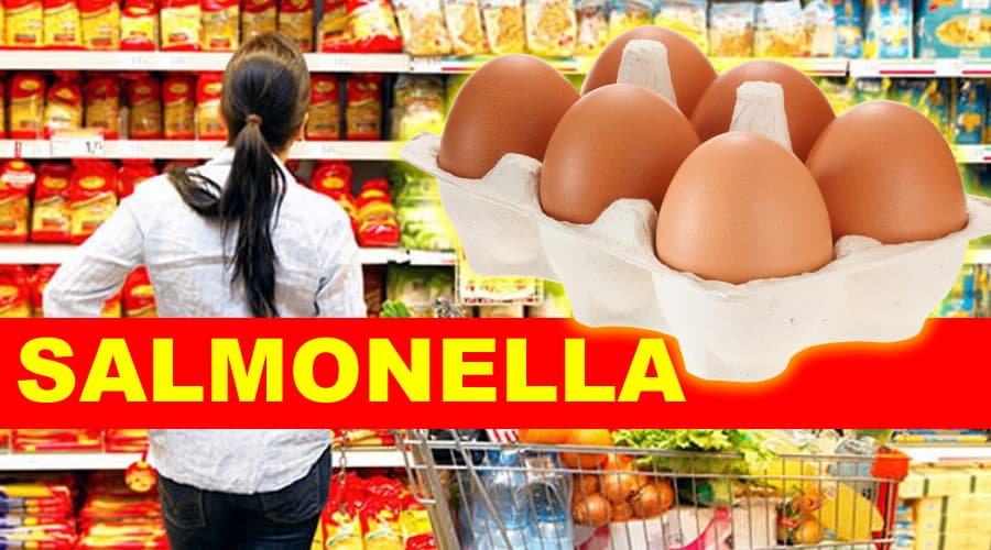 Uova, positività alla salmonella. I lotti coinvolti