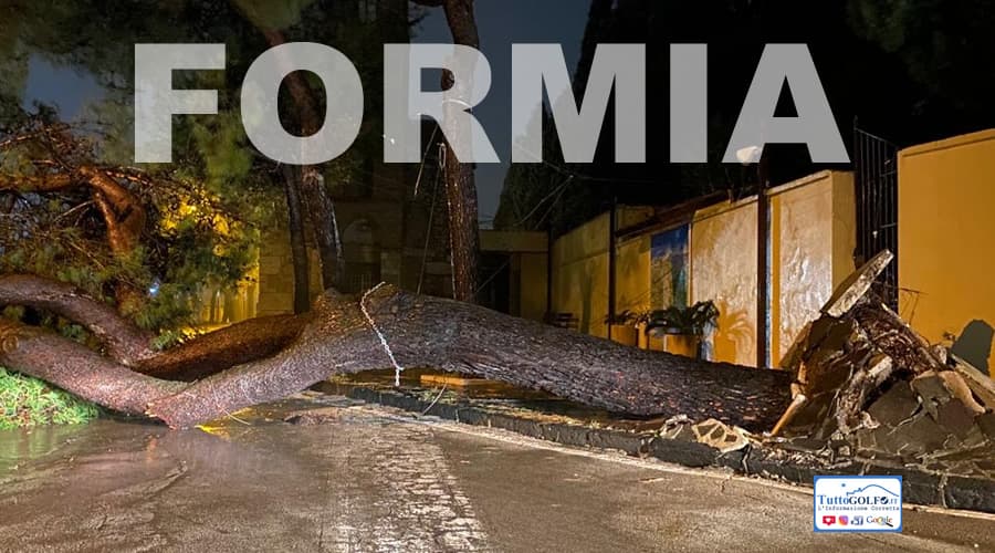 Formia, tragedia sfiorata: un pino si abbatte in strada fuori al cimitero