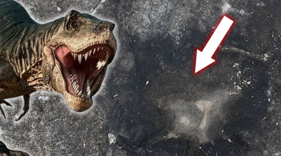 Orme di dinosauro in Provincia di Latina. Dalla Regione un Finanziamento per pulire il sito dai rifiuti