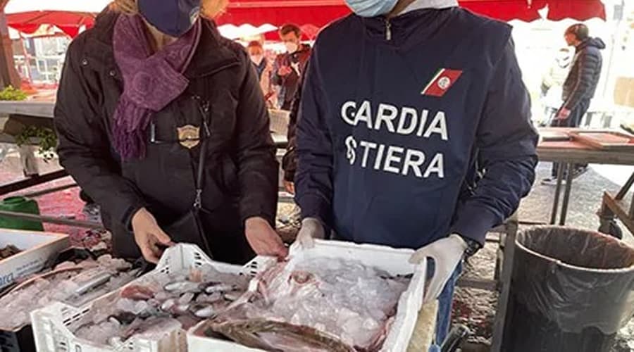 Golfo di Gaeta, tracciabilità del pescato: merce sequestrata e 3 mila euro di sanzioni