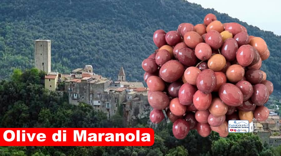 Olive di Gaeta? Olive di Itri? Olive di Maranola!