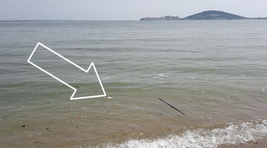 Acqua del mare nel Golfo di Gaeta. A confronto la tabella di Arpa Lazio, con quella di Goletta Verde. Dati diversi