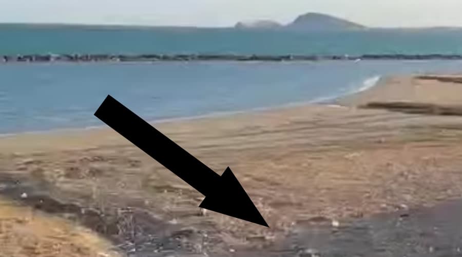 Rifiuti triturati in spiaggia a Formia