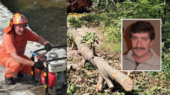 In Friuli durante la bonifica di un bosco è deceduto il volontario Giuseppe De Paoli, del Gruppo Comunale di Preone.
