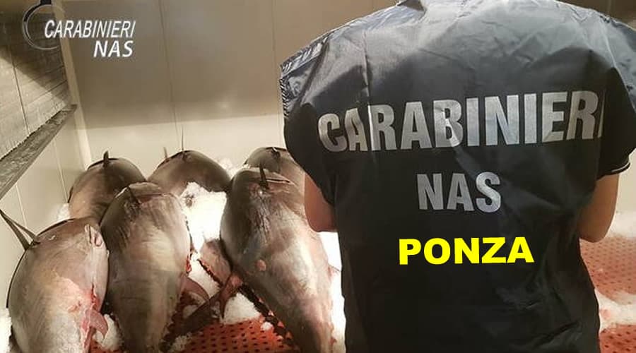 Ponza e Ventotene, NAS: sei locali verso la chiusura per gravi carenze igieniche