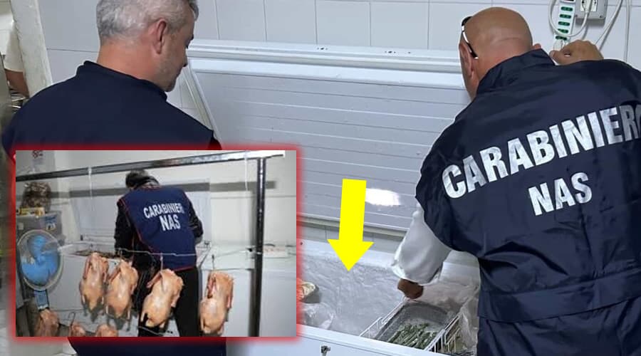 NAS, controlli nei ristoranti: fioccano le sanzioni. Sospesa l'attività ad un ristoratore per le pessime condizioni igieniche
