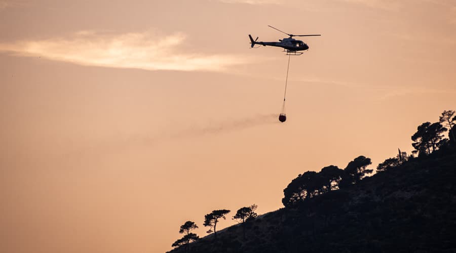 ISPRA - INCENDI BOSCHIVI: NEL 2025 AUMENTA LA SUPERFICIE ANDATA IN FUMO