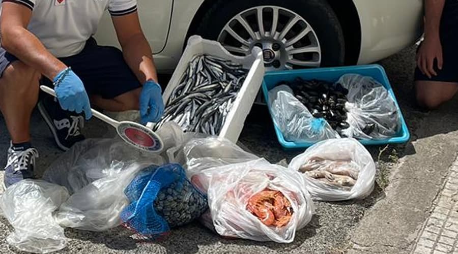 Scauri, Gianola: Prodotti ittici venduti sul lungomare. Fioccano le sanzioni a tutela della salute e dell'igiene