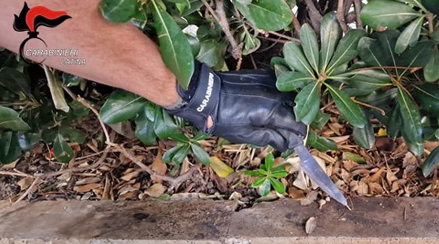 Malamovida: trovato occultato un coltello di 20cm in un'aiuola