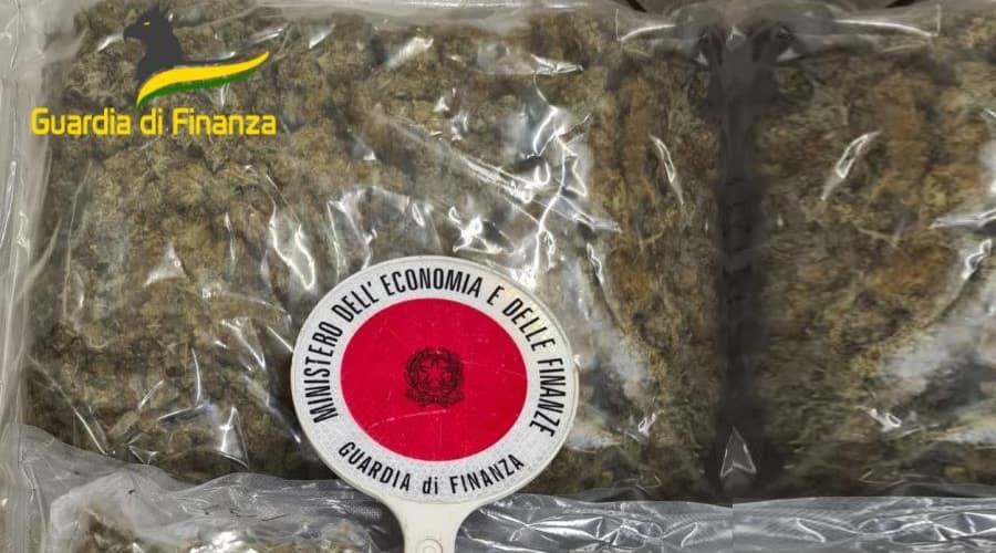 GDF LATINA: SEQUESTRATI 135 KG DI MARIJUANA. ARRESTATO IN FLAGRANZA IL CORRIERE