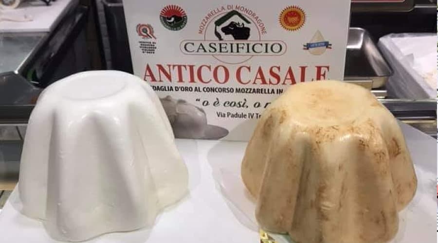 Il pandoro di mozzarella incorona le tavole di Natale nel golfo di Gaeta