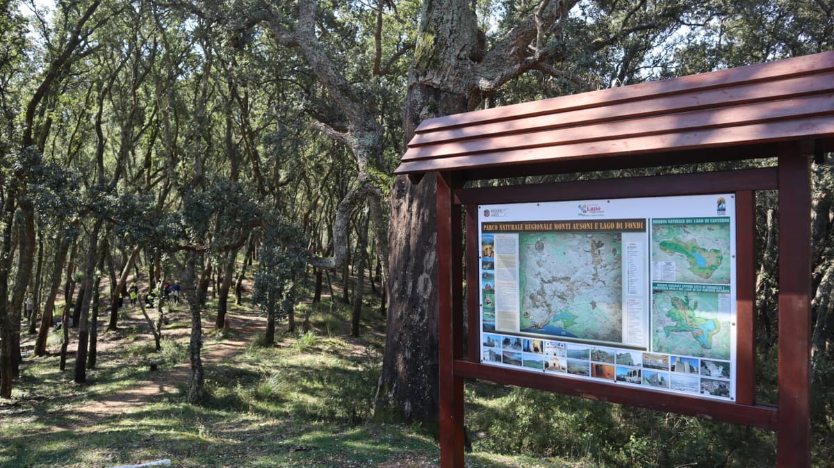 IL PARCO DEI MONTI AUSONI IN MISSIONE PER LA SUGHERETA