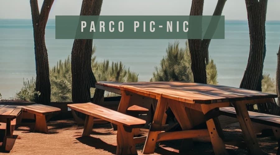 CELLOLE - REALIZZATO IL PARCO PIC-NIC NELLA PINETA DI BAIA DOMIZIA