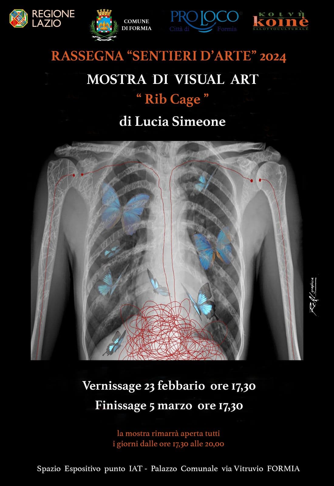 Formia, IAT- Pro Loco: Mostra di Visual Art "Rib Cage" di Lucia Simeone