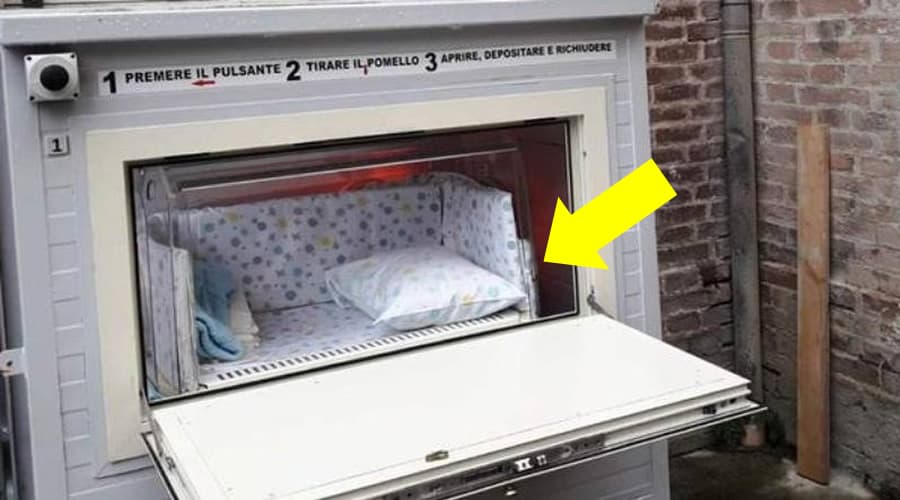 Culla della vita ora disponibile. Cos'è e dove trovarla