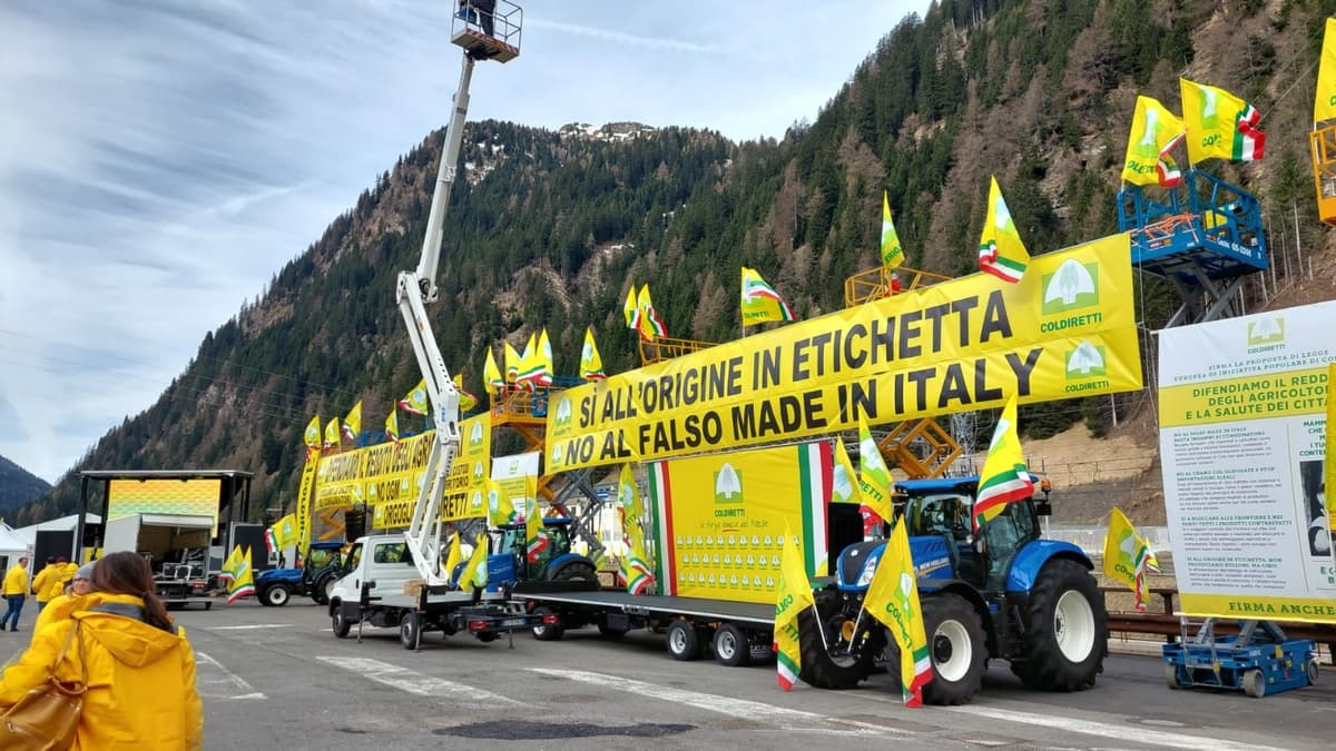 Fake in Italy, Stop all'invasione del cibo-truffa. Smascherare il fake Made in ItalyFake in Italy