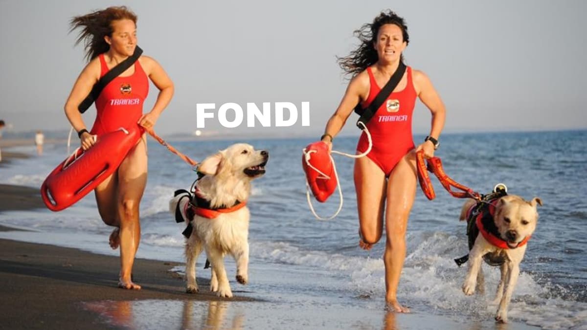 Fondi - Dimostrazioni in spiaggia con la Scuola Italiana Cani Salvataggio