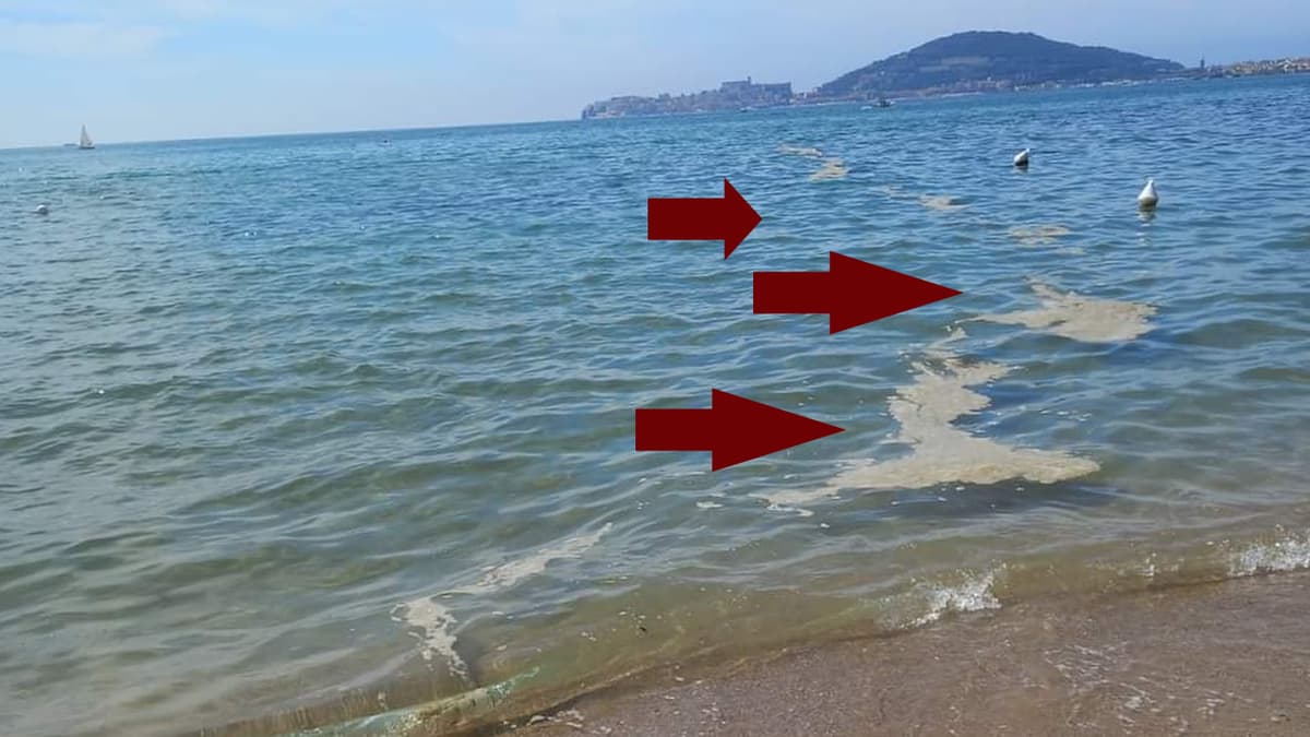Schiuma bianca o marrone lungo il litorale del Golfo di Gaeta e Riviera di Ulisse. ARPA Lazio fa chiarezza